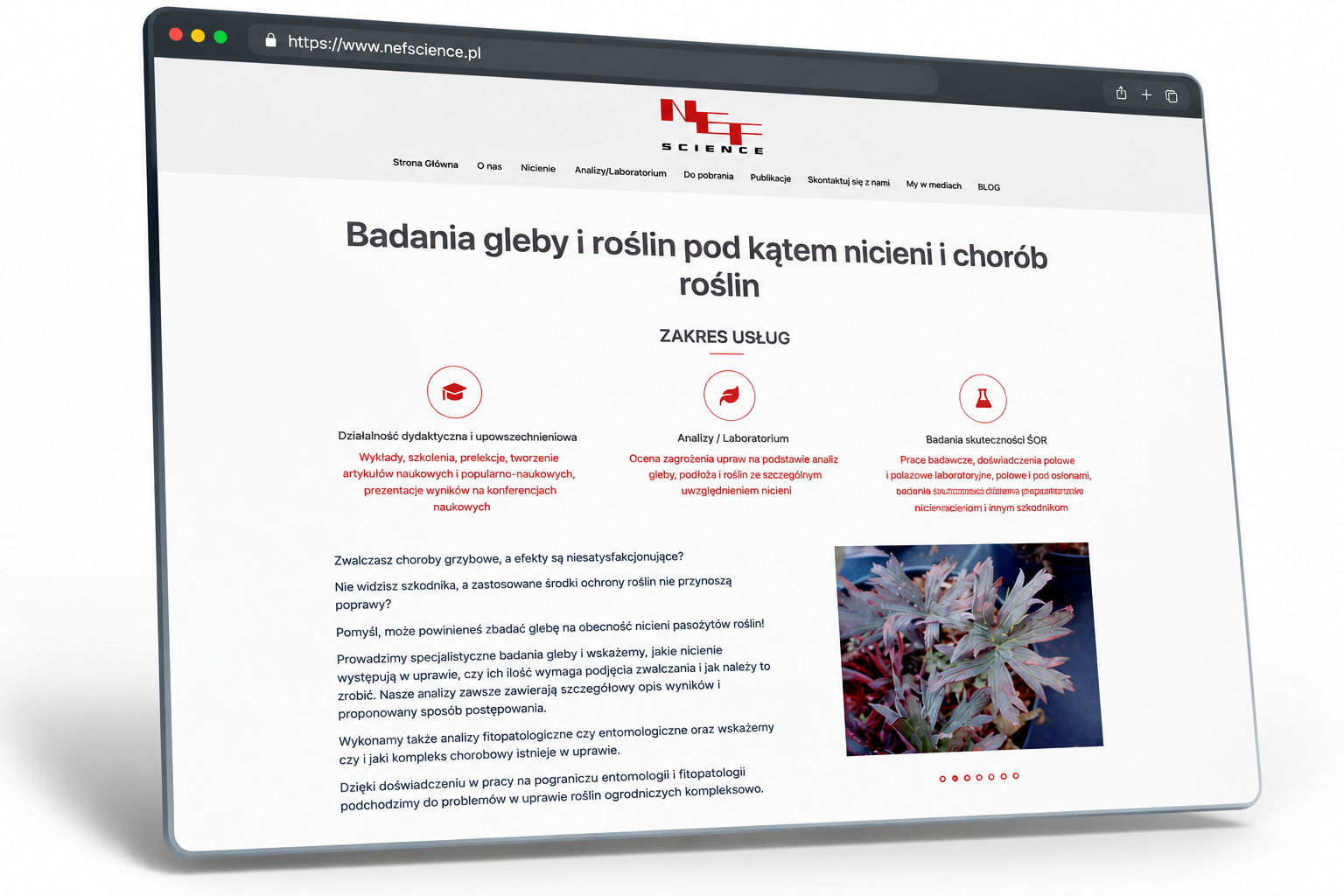 Strona NEF Science — serwis objęty rozwojem i opieką Evinet